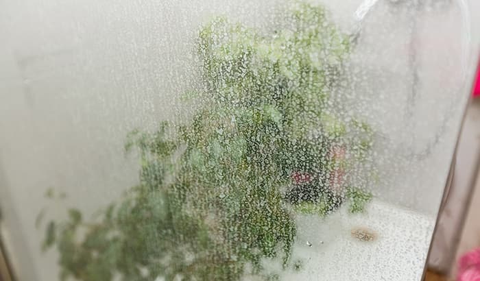 Hard Water Stains: Their Causes and How to Avoid Them